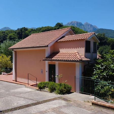 Villa Vicinus - 120 Mq - Parking - Garden Vietri Exteriér fotografie